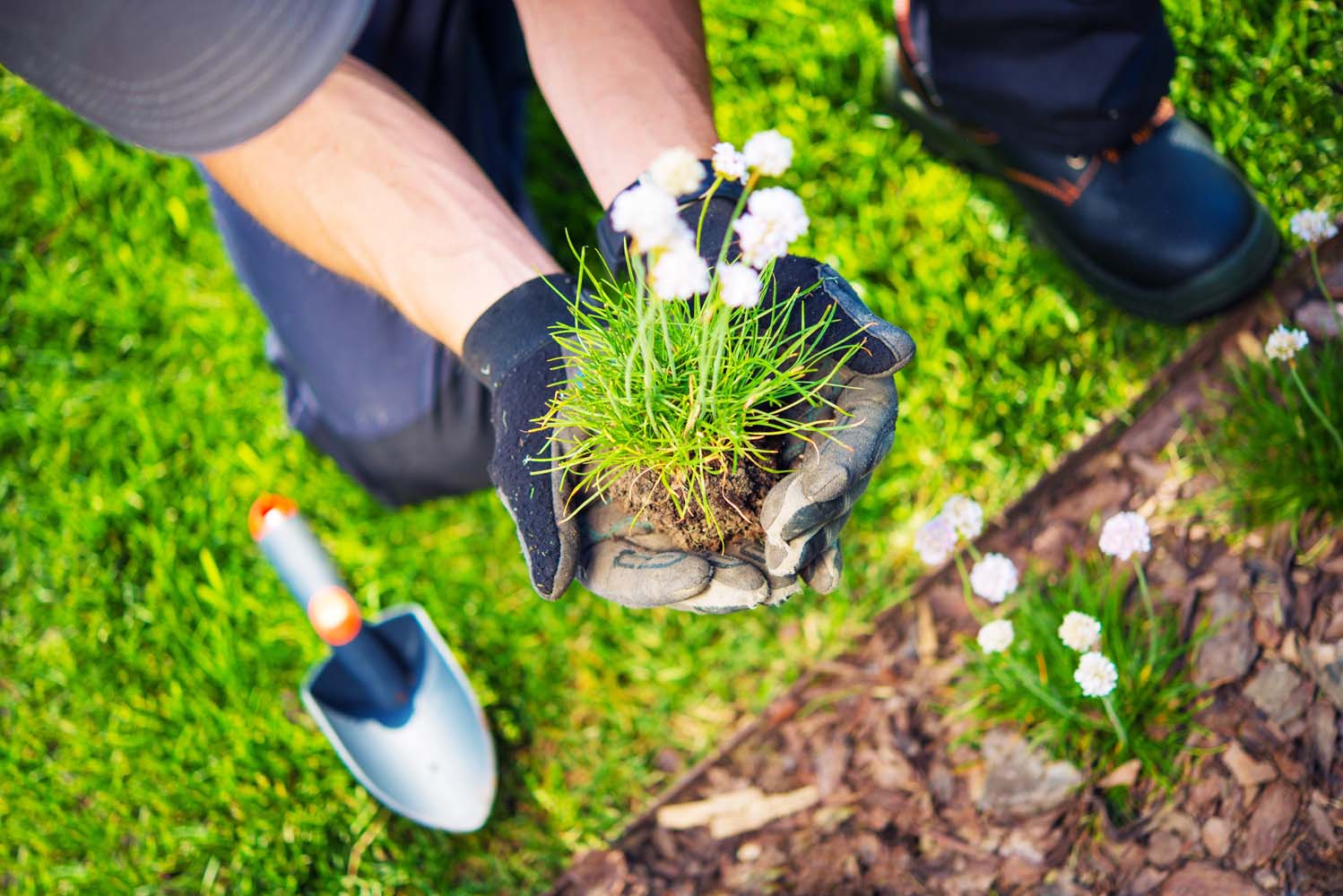 Christchurch Gardener