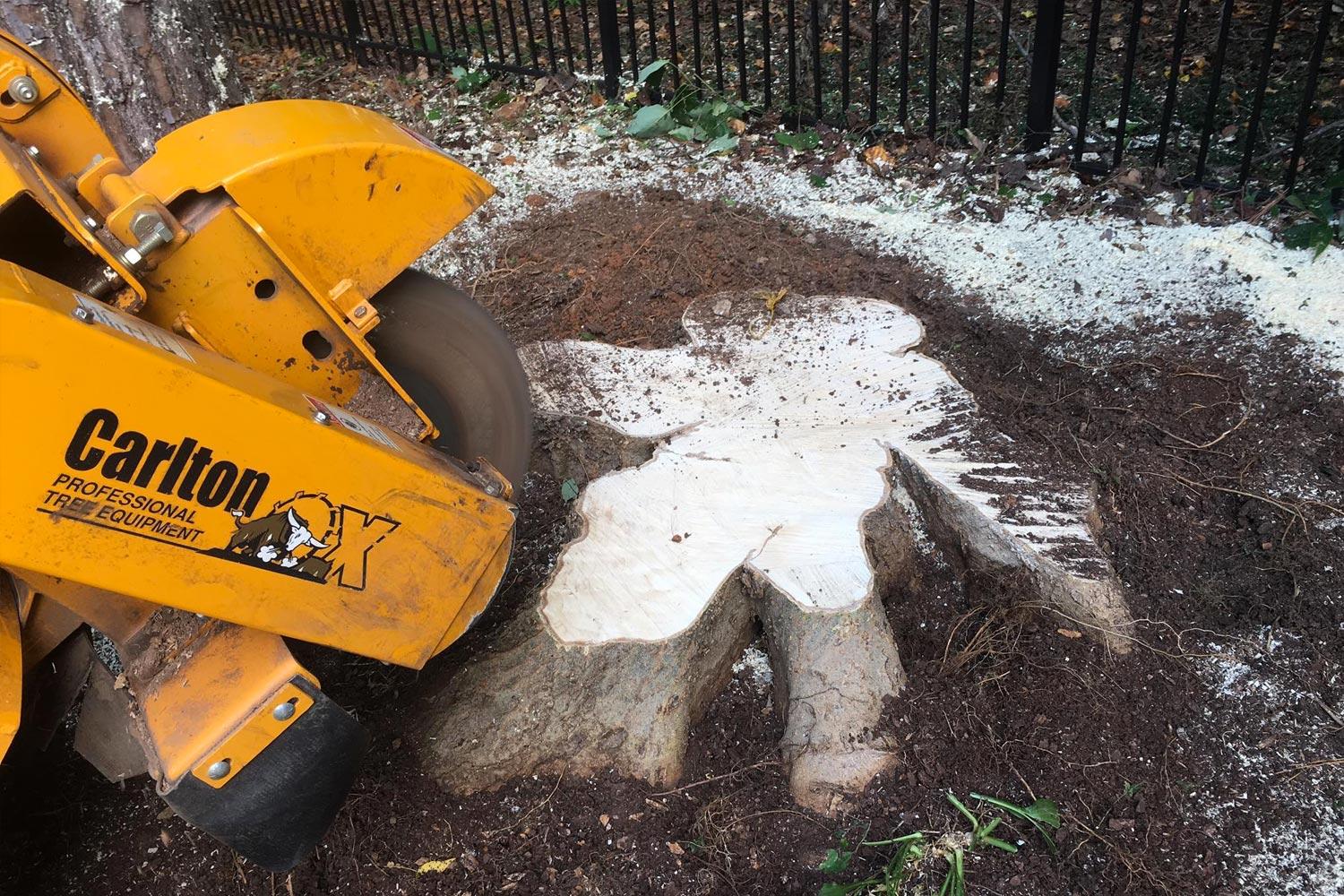 Christchurch Stump Grinding